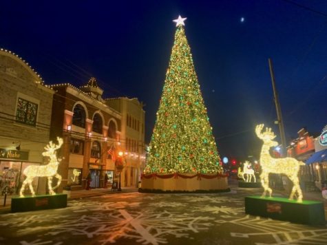 Main Street Christmas Tree Lights Up the Town